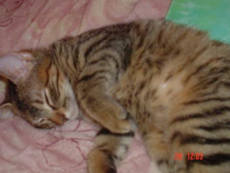mon b�b�