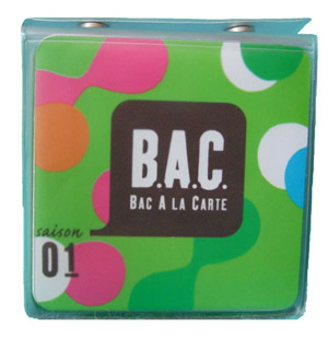 des nv sujets de bac 2008