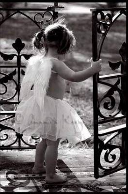 la fin... the end 