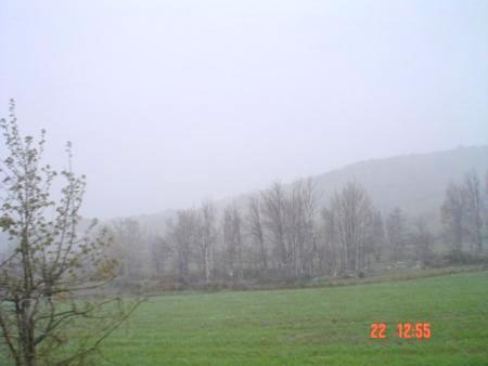 alger_ dira