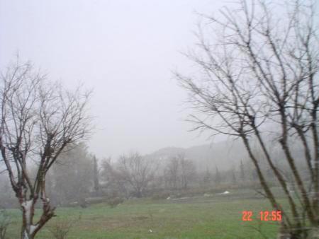 alger_dira