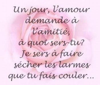 l'amour et l'�miti� 
