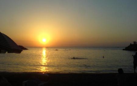 couch� de soleil