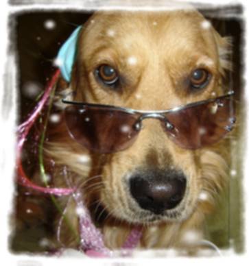 fashion !!